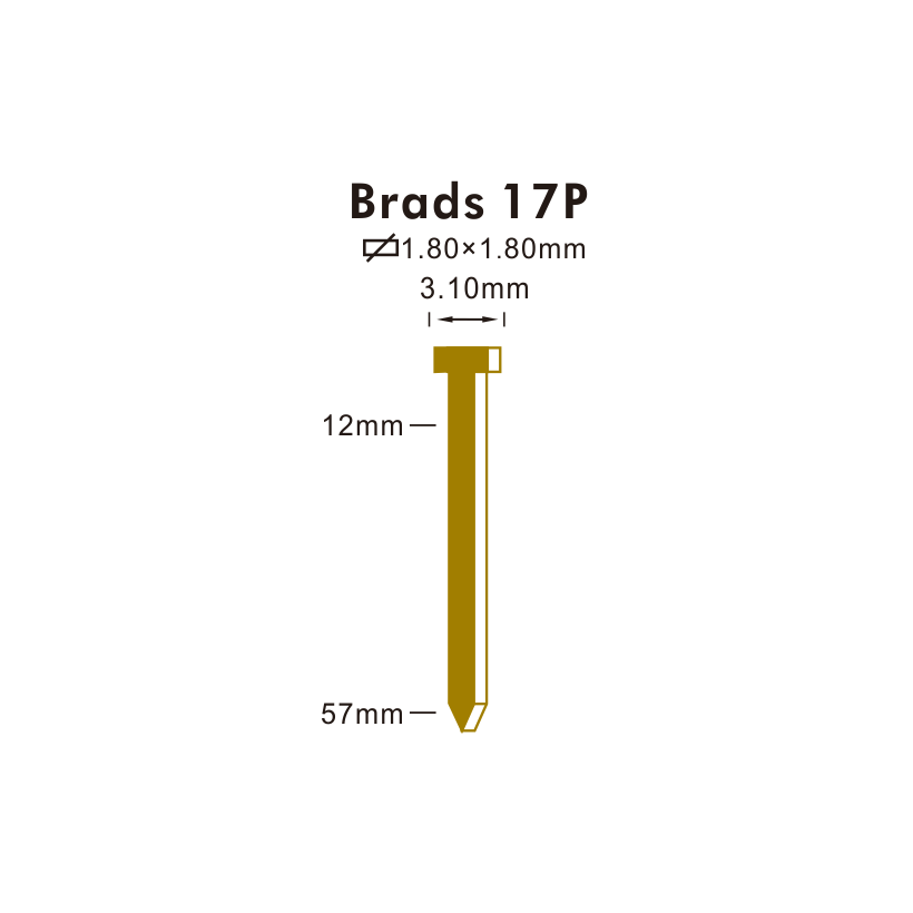 Brads 17P