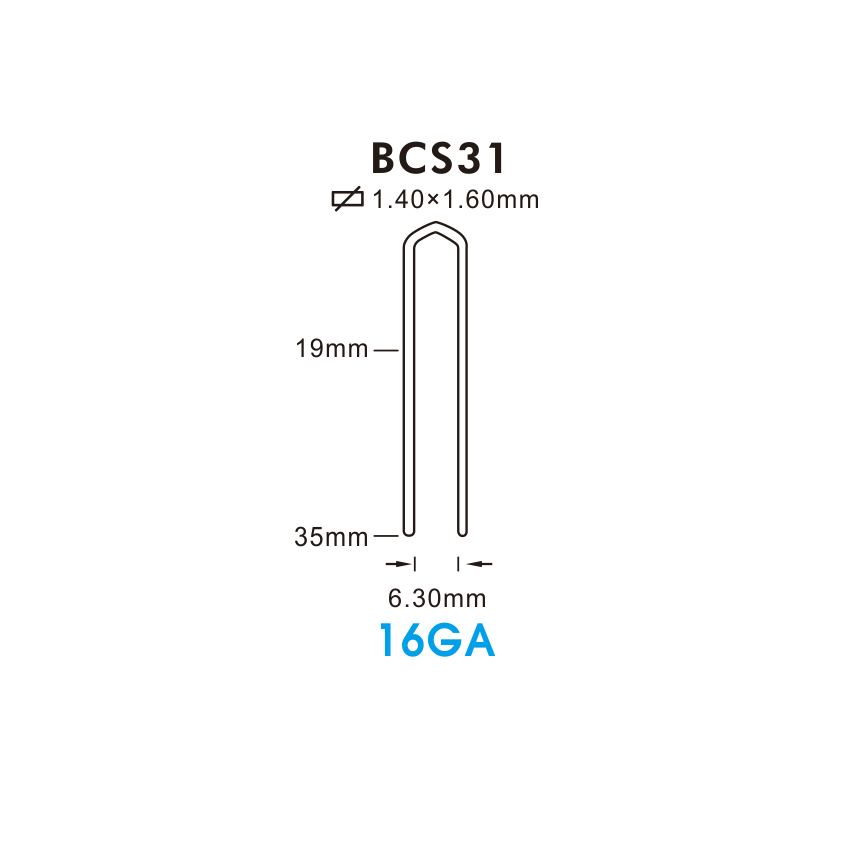 BCS31
